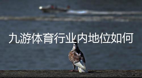 九游体育行业内地位如何？市场份额、竞争优势与发展前景一文看懂