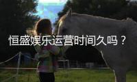 恒盛娱乐运营时间久吗？资深玩家解析平台历史与稳定性