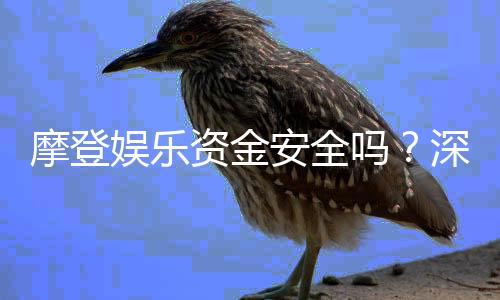 摩登娱乐资金安全吗？深度解析平台保障措施与玩家实测