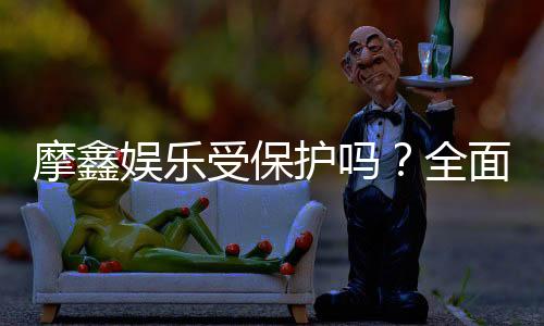 摩鑫娱乐受保护吗？全面解析其安全性与保障措施