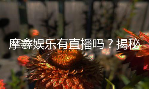 摩鑫娱乐有直播吗？揭秘平台真人娱乐直播详情