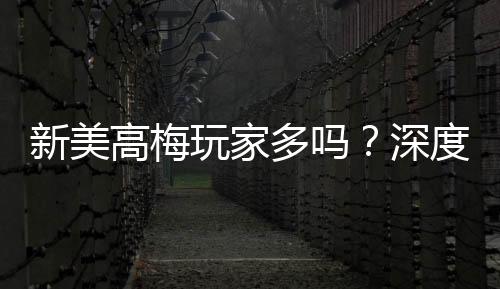 新美高梅玩家多吗？深度解析平台人气与玩家体验