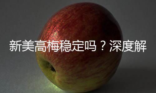 新美高梅稳定吗？深度解析平台安全性与玩家体验