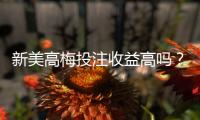 新美高梅投注收益高吗?资深玩家解析高回报实战策略
