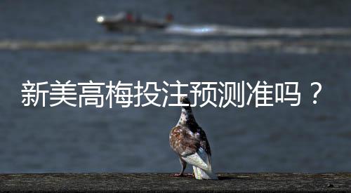 新美高梅投注预测准吗？资深玩家实测准确率与技巧分享