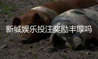 新城娱乐投注奖励丰厚吗？揭秘高额返利与独家优惠活动