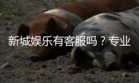 新城娱乐有客服吗？专业客服团队为您解答游戏疑问