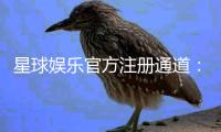 星球娱乐官方注册通道：轻松开启您的豪华游戏之旅