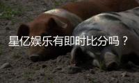 星亿娱乐有即时比分吗？全面解析比分查询与赛事动态