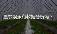 星梦娱乐有数据分析吗？深度解析其数据监测与玩家体验优化