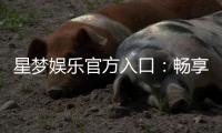 星梦娱乐官方入口：畅享顶级棋牌电游的尊贵体验