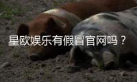 星欧娱乐有假冒官网吗？教你识别正规平台与防骗技巧