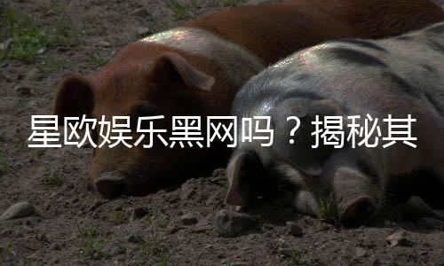 星欧娱乐黑网吗？揭秘其真伪与玩家安全攻略