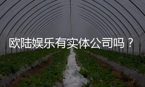 欧陆娱乐有实体公司吗？深度解析其线下运营与资质背景