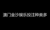 澳门金沙娱乐投注种类多吗？揭秘热门玩法与特色项目
