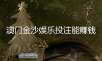 澳门金沙娱乐投注能赚钱吗？揭秘高胜率玩家的盈利技巧与风险把控