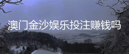 澳门金沙娱乐投注赚钱吗？揭秘高胜率玩家的实战技巧与风险把控