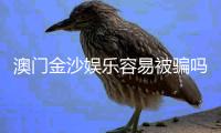 澳门金沙娱乐容易被骗吗？资深玩家揭秘防骗技巧与安全攻略
