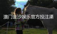 澳门金沙娱乐官方投注渠道：揭秘安全便捷的入金方法与实战技巧