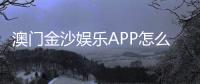 澳门金沙娱乐APP怎么样？资深玩家亲测体验与实用攻略分享