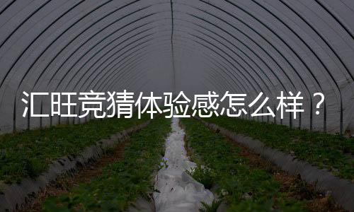 汇旺竞猜体验感怎么样？资深玩家分享真实测评与心得
