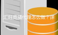 汇旺竞猜代理怎么做？详细申请流程与盈利技巧分享