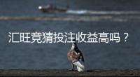 汇旺竞猜投注收益高吗？深度解析盈利模式与实战技巧