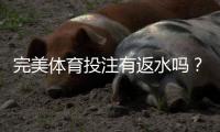 完美体育投注有返水吗？2026最新返水政策、计算方式与领取攻略