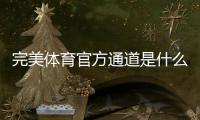 完美体育官方通道是什么？最新入口、登录与安全验证全解析