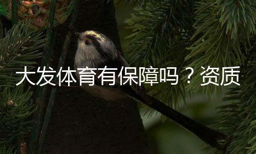 大发体育有保障吗？资质、支付与提款安全全面解析