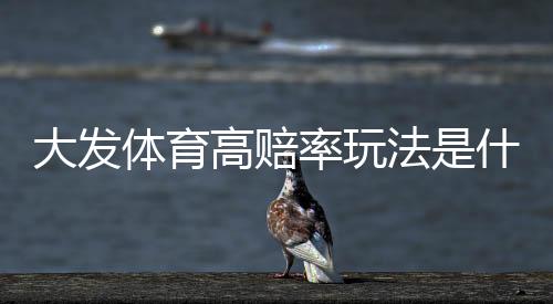 大发体育高赔率玩法是什么意思？新手投注攻略、提效技巧与风险控制详解