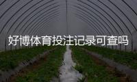 好博体育投注记录可查吗?官方查询、第三方取证与隐私注意事项