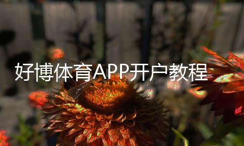 好博体育APP开户教程:新手注册流程、实名认证与安全充值全攻略