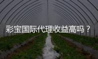 彩宝国际代理收益高吗？探究实情