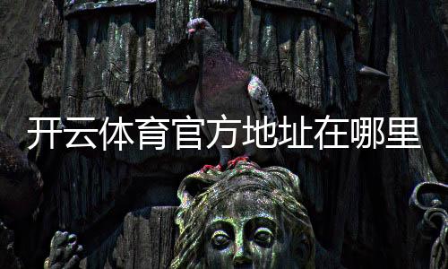 开云体育官方地址在哪里？最新官网入口、识别方法与安全访问指南