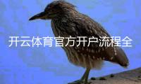 开云体育官方开户流程全攻略：新手注册、实名认证、充值与安全注意事项详解
