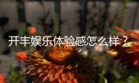 开丰娱乐体验感怎么样？资深玩家分享真实感受与技巧