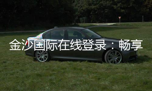 金沙国际在线登录：畅享顶级棋牌电游的豪华体验
