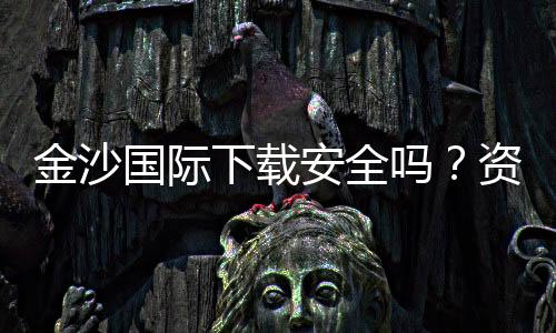 金沙国际下载安全吗？资深玩家解析平台可靠性与风险防范