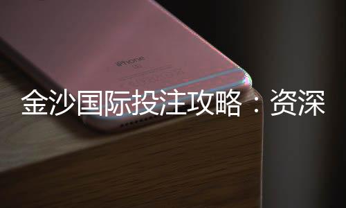 金沙国际投注攻略：资深玩家的实战技巧与资金管理秘籍