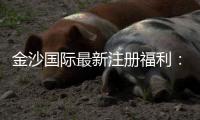 金沙国际最新注册福利：新会员专享豪礼与首存优惠揭秘