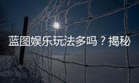 蓝图娱乐玩法多吗？揭秘其丰富游戏种类与特色玩法