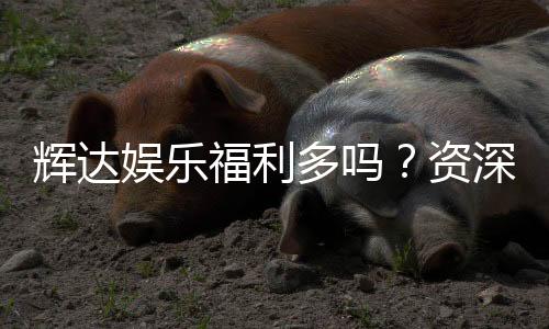 辉达娱乐福利多吗？资深玩家揭秘真实福利体验