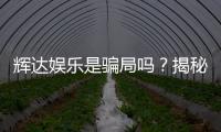 辉达娱乐是骗局吗？揭秘真相与玩家真实体验分享