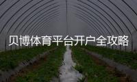 贝博体育平台开户全攻略：新手注册流程、身份验证与常见问题详解