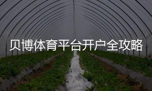 贝博体育平台开户全攻略：新手注册流程、身份验证与常见问题详解