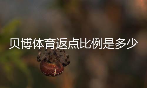 贝博体育返点比例是多少？最新返点规则与计算方法详解