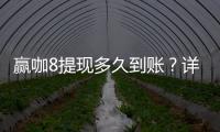 赢咖8提现多久到账？详解到账时间与提现技巧