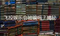 飞投娱乐会被骗吗？揭秘平台安全性及防骗指南