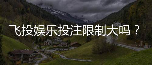 飞投娱乐投注限制大吗？深度解析平台规则与玩家应对策略